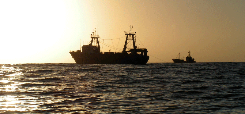 APERTURA A LA PESCA DE LANGOSTINO