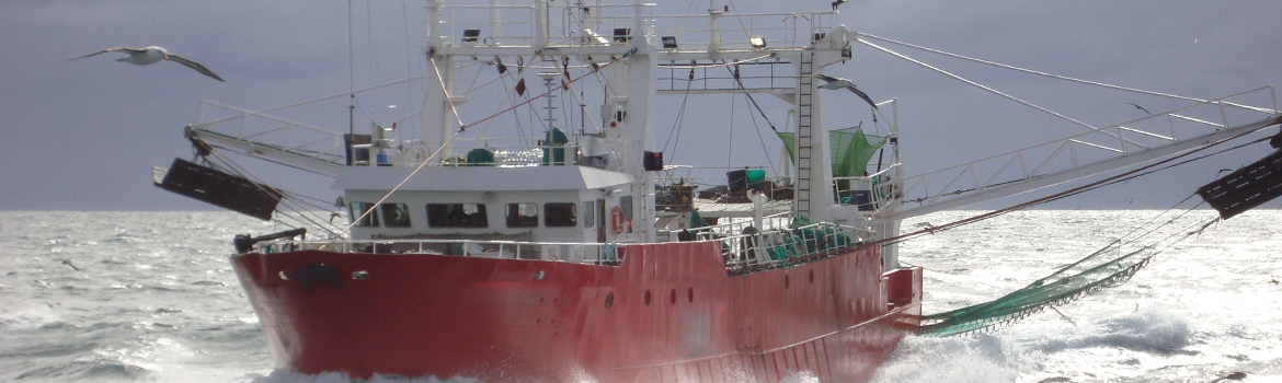 Prospección de langostino en el AVPJM