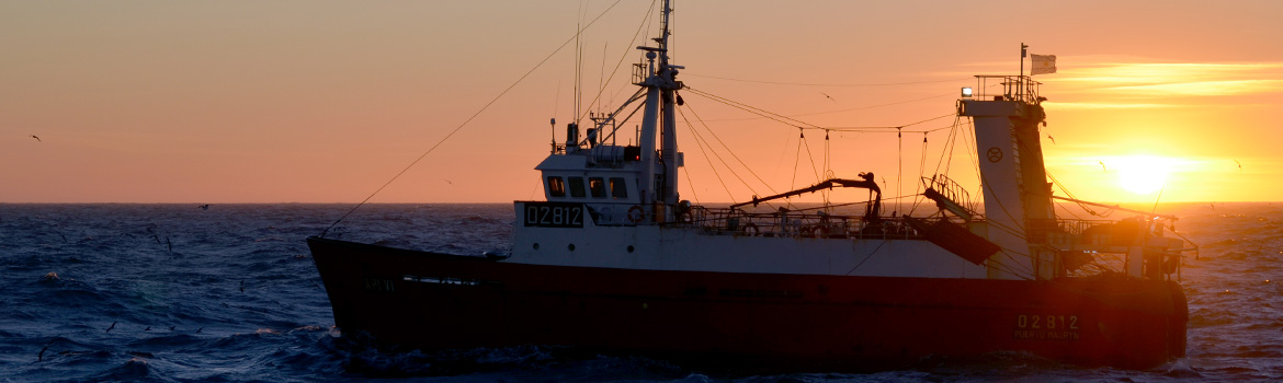Prospección de langostino en el AVPJM – Subáreas 7 y 12