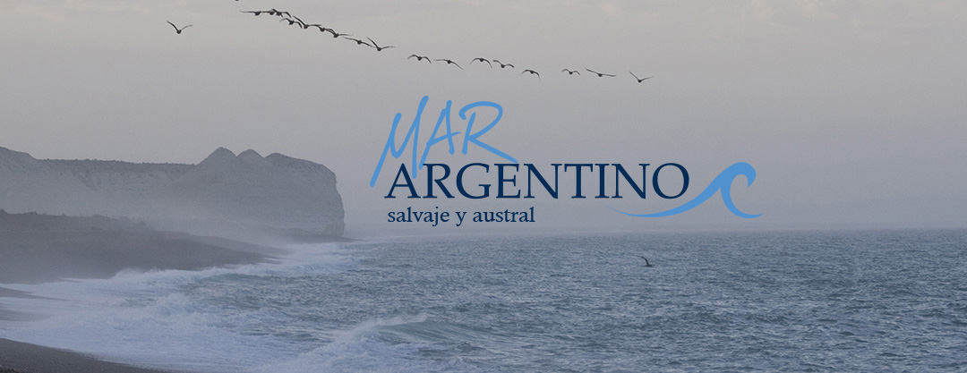 Argentina presente con su oferta de productos en las ferias de Vigo y San Pablo